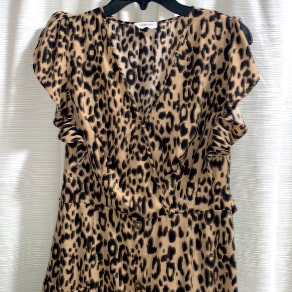 Sienna sky Leopard dress - Picture 6 of 10